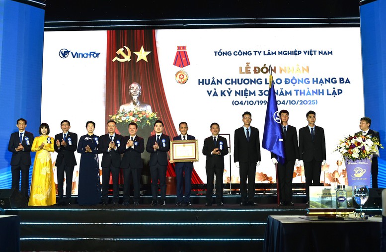 Phát triển VINAFOR trở thành tập đoàn lâm nghiệp quy mô lớn 2