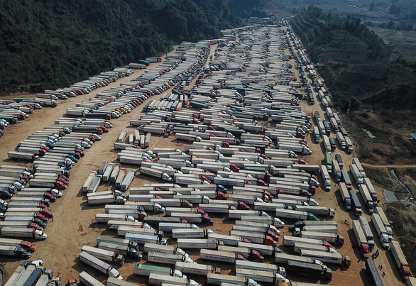 Tại các cửa khẩu của tỉnh Lạng Sơn đến sáng 14-1 vẫn còn gần 1.500 xe hàng hóa, nông sản ùn ứ - Ảnh: NAM TRẦN
