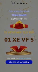 Tậu VF 6 trúng thêm VF 5: “Túi mù” của VinFast khiến khách hàng Cần Thơ ngỡ ngàng