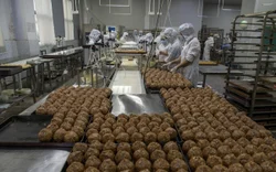 hx9j6fb42f1 vdglveypm82 b0toi2book3