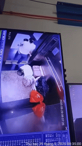 Camera ghi lại hành động gây ngán ngẩm của người phụ nữ trong thang máy 1