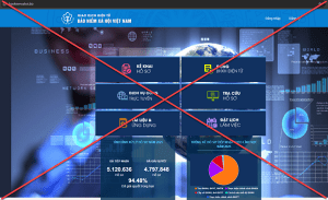 Cảnh báo website giả mạo Cổng dịch vụ công trực tuyến BHXH Việt Nam 17