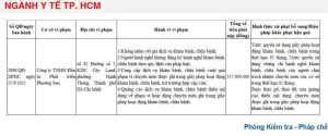 Công ty Đầu tư Phát triển Phương Sen bị xử phạt 137 triệu đồng 24